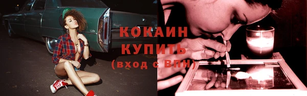 спайс Алзамай